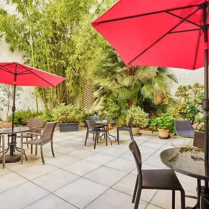 Orchidée Paris